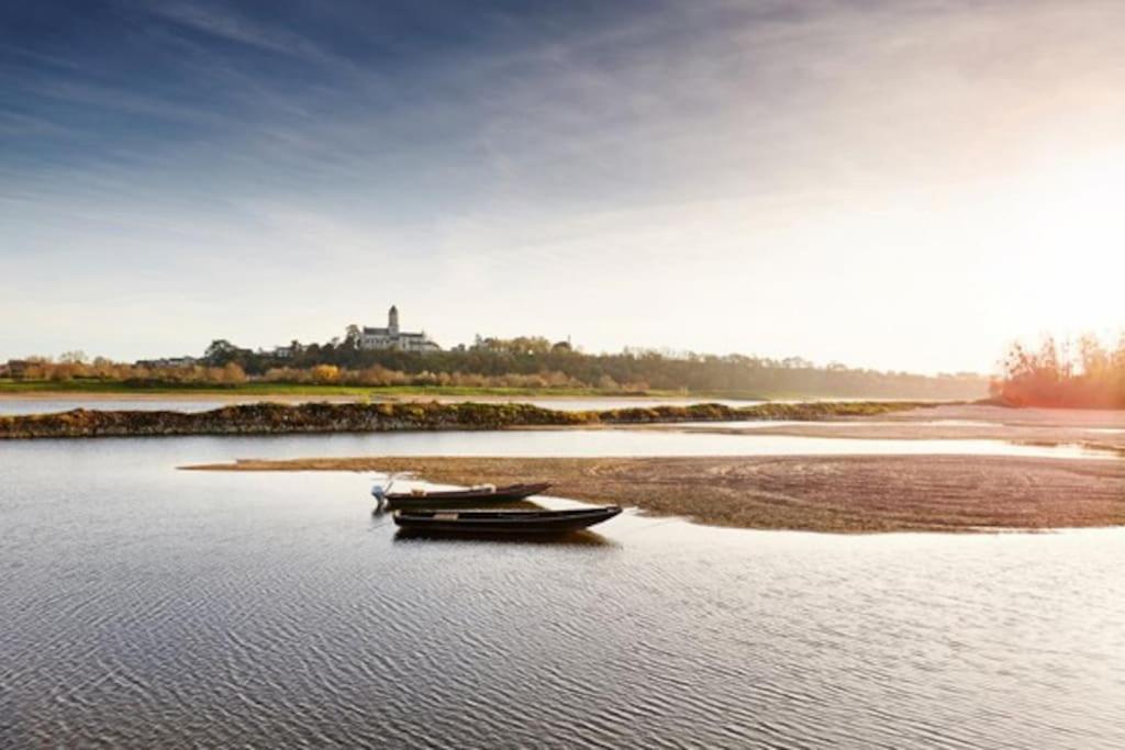 Appart' Cosy En Bord De Loire Сомюр Экстерьер фото